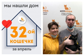 Кошечка Летти начинает новую жизнь!
