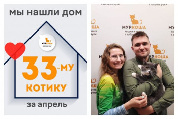 Котик Кавалер обрел домашнее счастье!