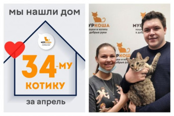 Котик Мэй стал домашним любимцем!
