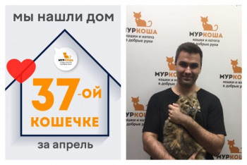Кошечка Медуница встретила надежного хозяина!
