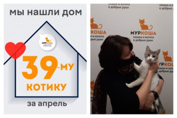 Котик Вадюша рад познакомить со своей хозяйкой!