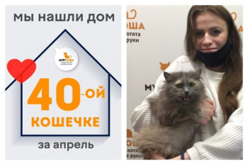 Кошечка Пуффка стала домашней всего за месяц!