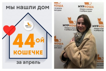 У кошечки Орхелии появилась заботливая хозяйка!