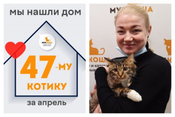 Очаровательный Леголас встретил надежных хозяев!