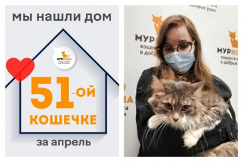 Красавица Астрид нашла дом за полтора месяца!