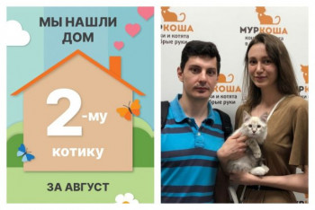 Котик Джуманджи начинает домашнюю жизнь!