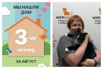 Общительный котик Вундеркинд отправился домой!