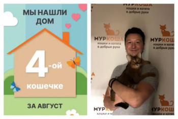 Кошечка Смузи стала частью прекрасной семьи!