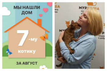 Трёхлетний котик Тоффифи рад познакомить со своей хозяйкой!