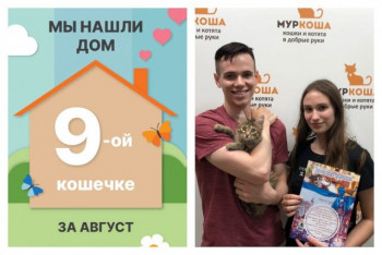 Кошечка Сторми встретила свою семью!