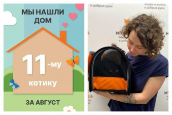 У котика Физрука появилась любящая семья!