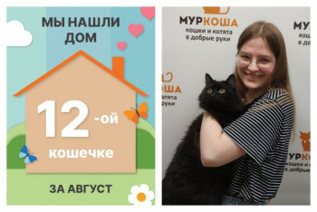 Грациозная Ноар уезжает в новый дом!