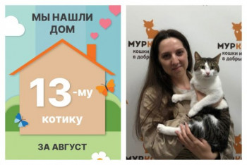Котик Сашок начинает свою новую домашнюю историю!