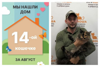 Трёхлетняя кошечка Фифа отправилась домой!