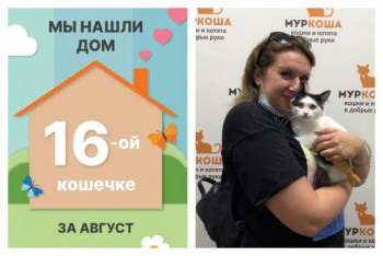 Кошечка Ляпуша стала домашней любимицей!