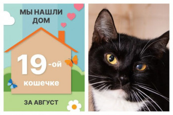 Очаровательная Чиоасан встретила надежного хозяина!