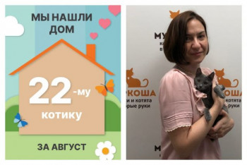 Малыш Сэмми стал домашним за один месяц!