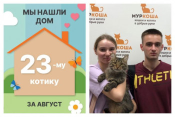 Котик Боуди обрел новый дом!