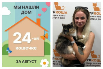 Кошечка Вирджи встретила свою прекрасную хозяйку!