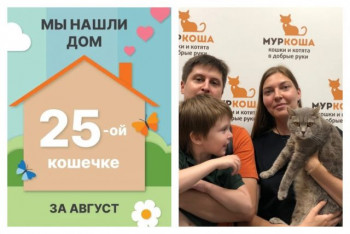 Кошечка Карамбола нашла свой новый дом за десять дней!