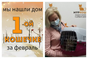 Особенная кошечка Малявочка стала домашней!