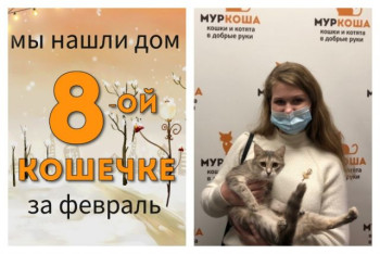 Кошечка Волшебница встретила заботливую хозяйку!