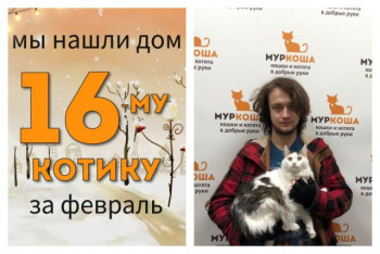Котик Рушан начинает жизнь с чистого листа!