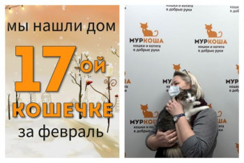 Очаровательная Хвостунья отправляется в свой новый дом!