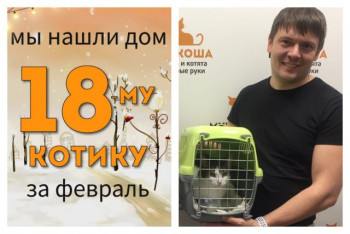 Котик Сашок стал домашним!