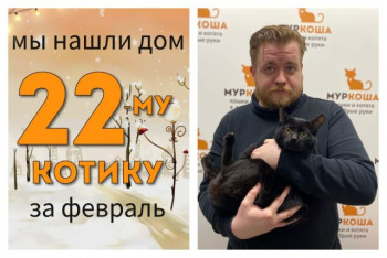 Котик Кливер встретил надежного и верного друга!