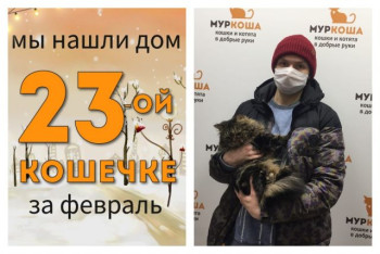 Красавица Женевьева стала домашней и счастливой!