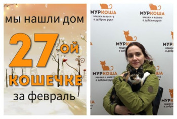 Очаровательная Алтея встретила надежную хозяйку!