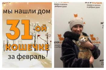 У кошечки Алазеи теперь есть дом и семья!
