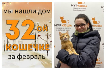 Юная Конопушка стала домашней за полтора месяца!