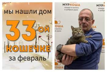 Двухлетняя Бестия начинает новую жизнь!