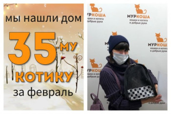 Десятилетний Риттер нашёл дом за один месяц!