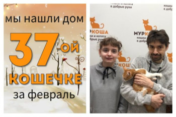 Кошечка Зефира начинает домашнюю жизнь!