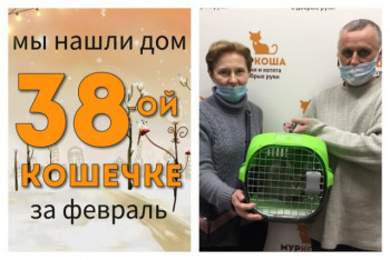 У кошечки Сьюзен теперь есть дом и семья!