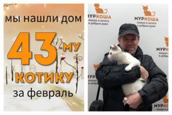 Котик Лёвушка встретил надежного хозяина!