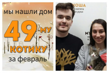 Котёнок Морячок отправился в домашнее плавание!
