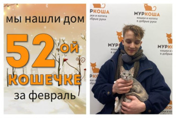 Юная Матата стала домашней кошечкой!