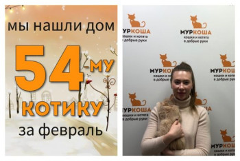 Котенок Назарушка нашел дом за один месяц!