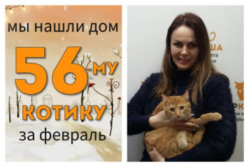Котик Дарсик стал домашним и любимым!