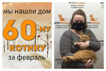 Ласковый котик Супчик рад познакомить со своей хозяйкой!