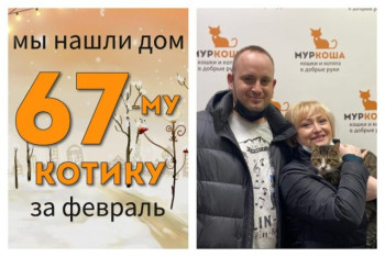 Котик Аксель начинает домашнюю жизнь!