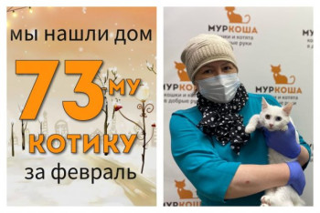 Малыш Буран нашел дом за один месяц!
