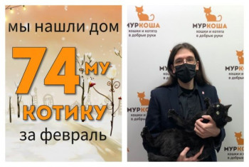 Кот Вениамин начинает новую жизнь!