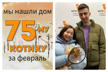 Котик Амурчик познакомился со своей семьей!