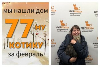 Котик Лектор теперь домашний и счастливый!