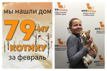 Годовалый котик Радик встретил заботливую хозяйку!
